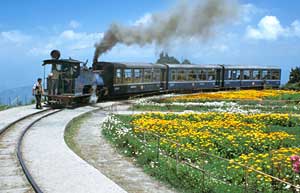 Darjeeling