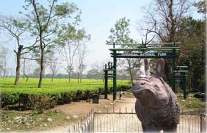 Gorumara National Park