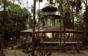 Chapramari Forest