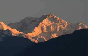 Pelling